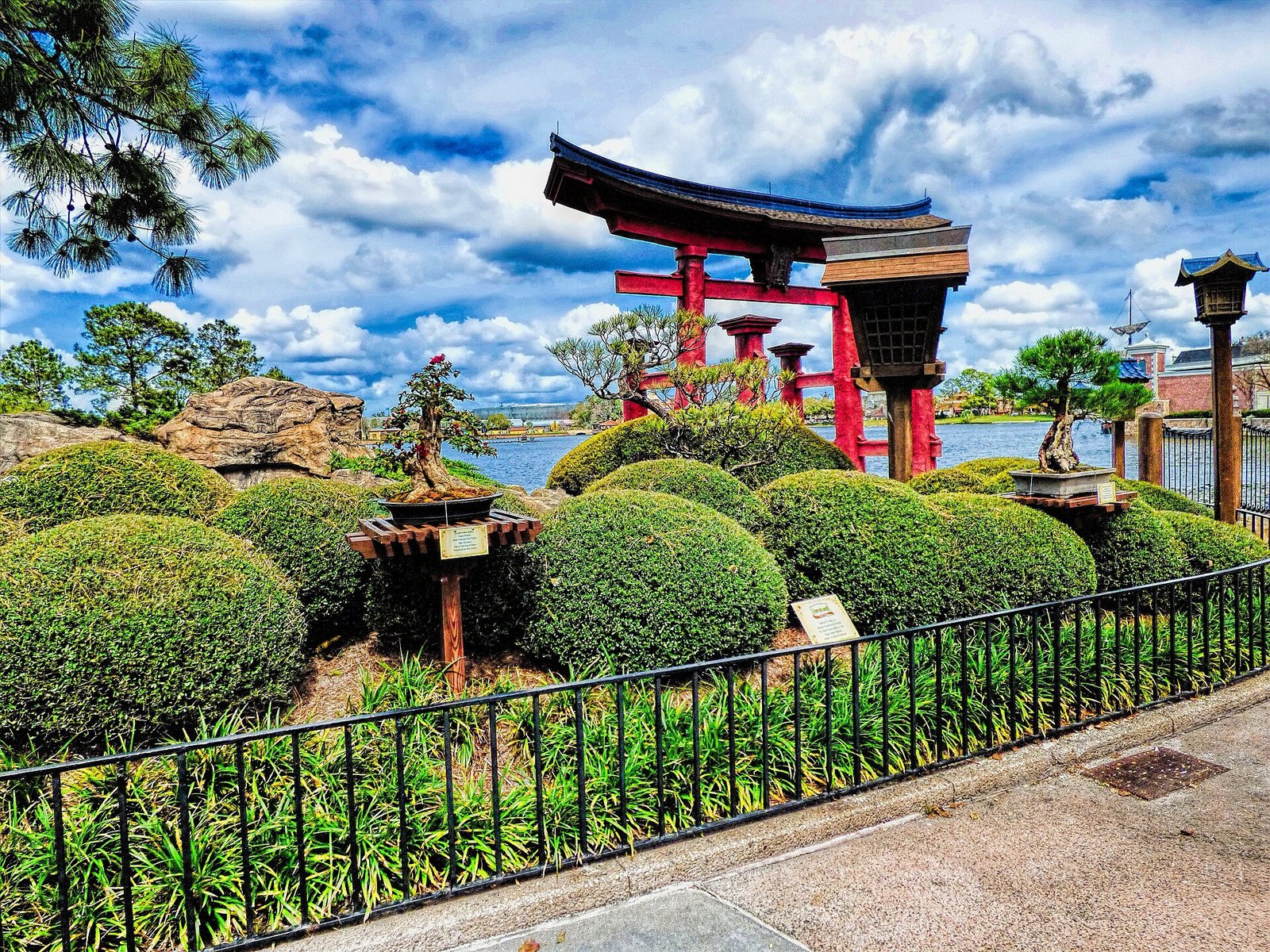Puerta torii roja junto a la laguna en el pabellón de Japón de EPCOT, con bonsáis en primer plano