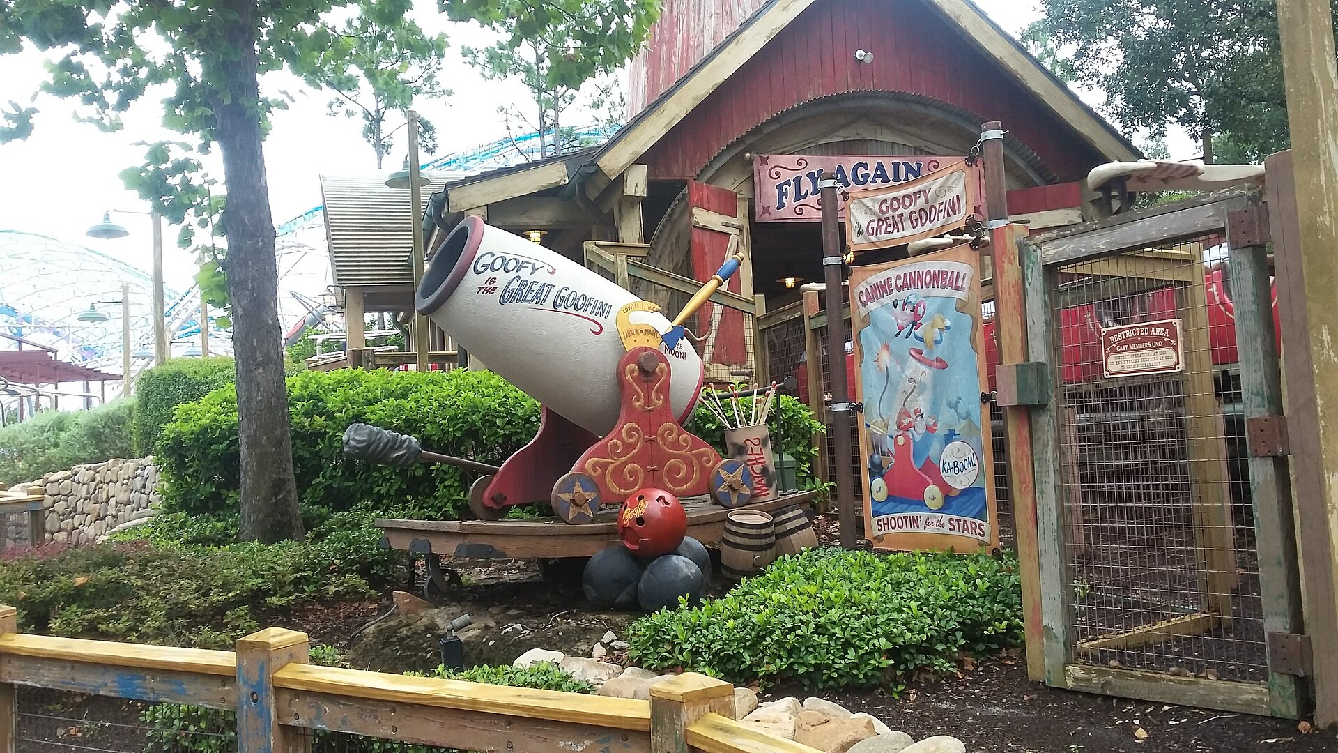 Estatura mínima en Disney: fila de The Barnstormer con un gran cañón blanco de Goofy, carteles de circo de colores y un granero rojo de madera entre plantas