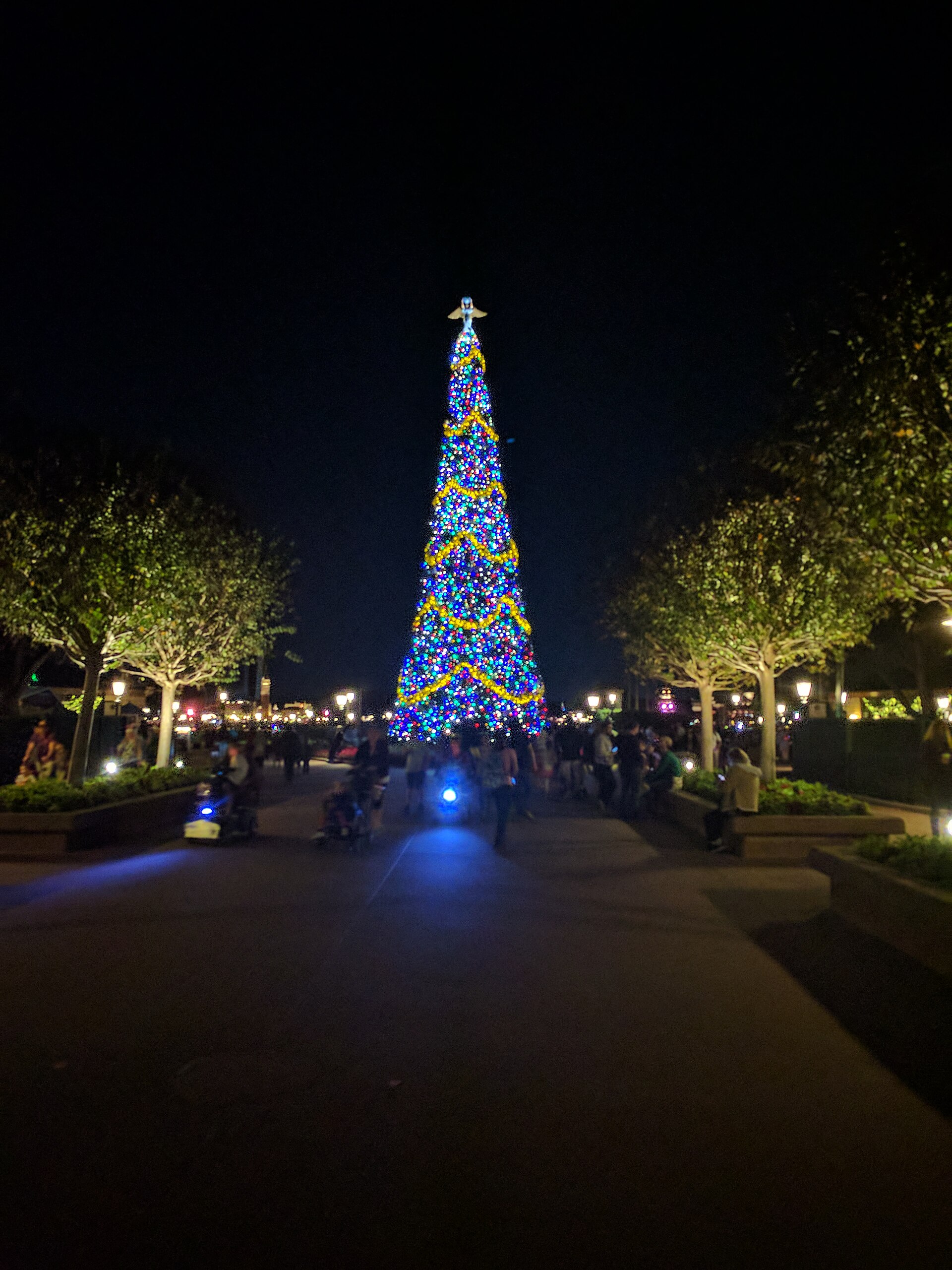 Festival of the Holidays en EPCOT: alto árbol de Navidad con luces azules y guirnaldas doradas brilla de noche al final de un paseo con árboles y visitantes