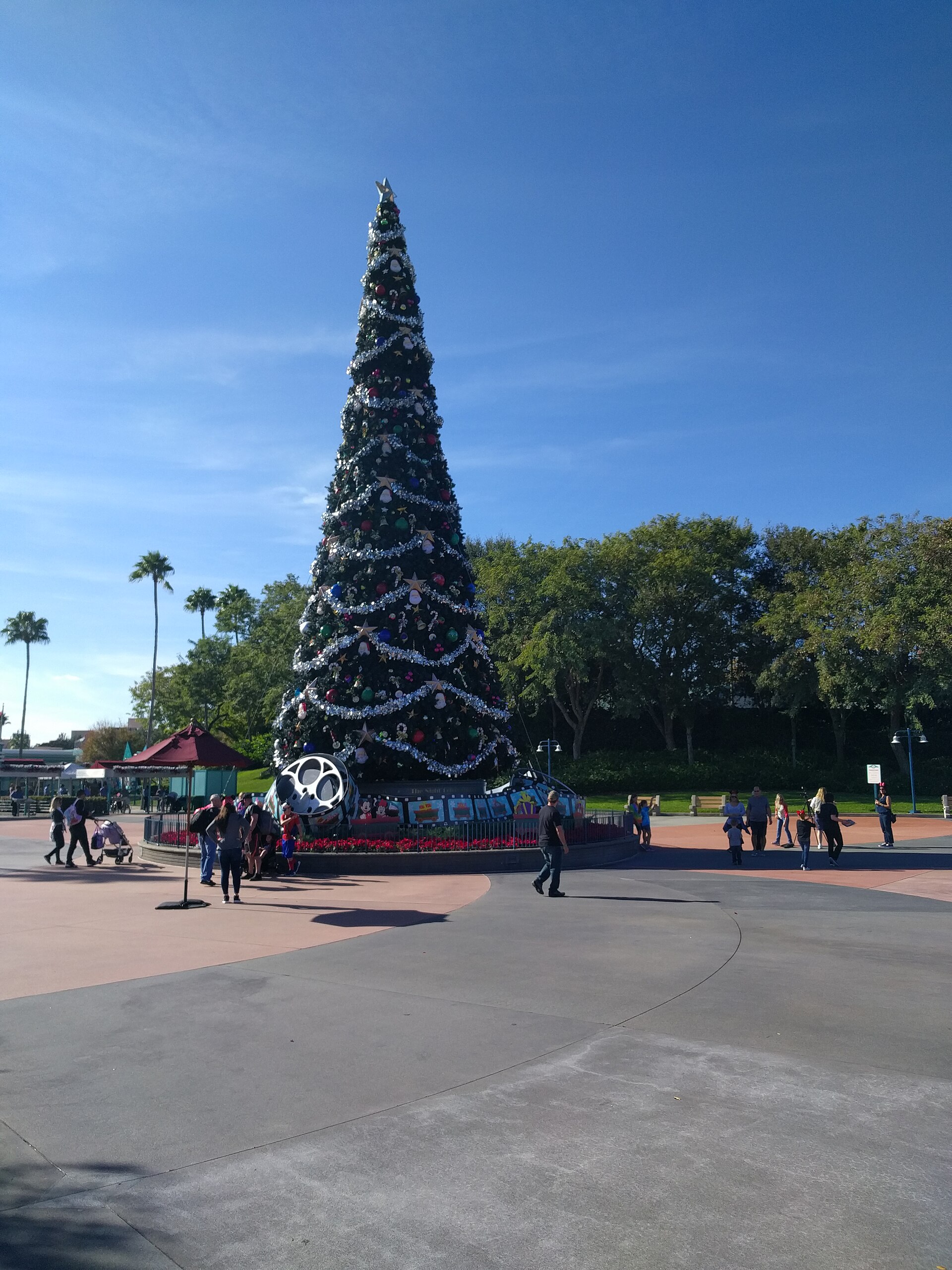 Hollywood Studios en Navidad, parque de Jollywood Nights: alto árbol decorado con guirnaldas plateadas y esferas en una plaza con visitantes y palmeras