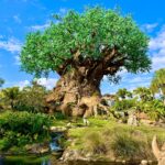 Animal Kingdom: el Tree of Life, un árbol enorme de copa verde, junto a un arroyo, rocas y palmeras, bajo un cielo azul con nubes