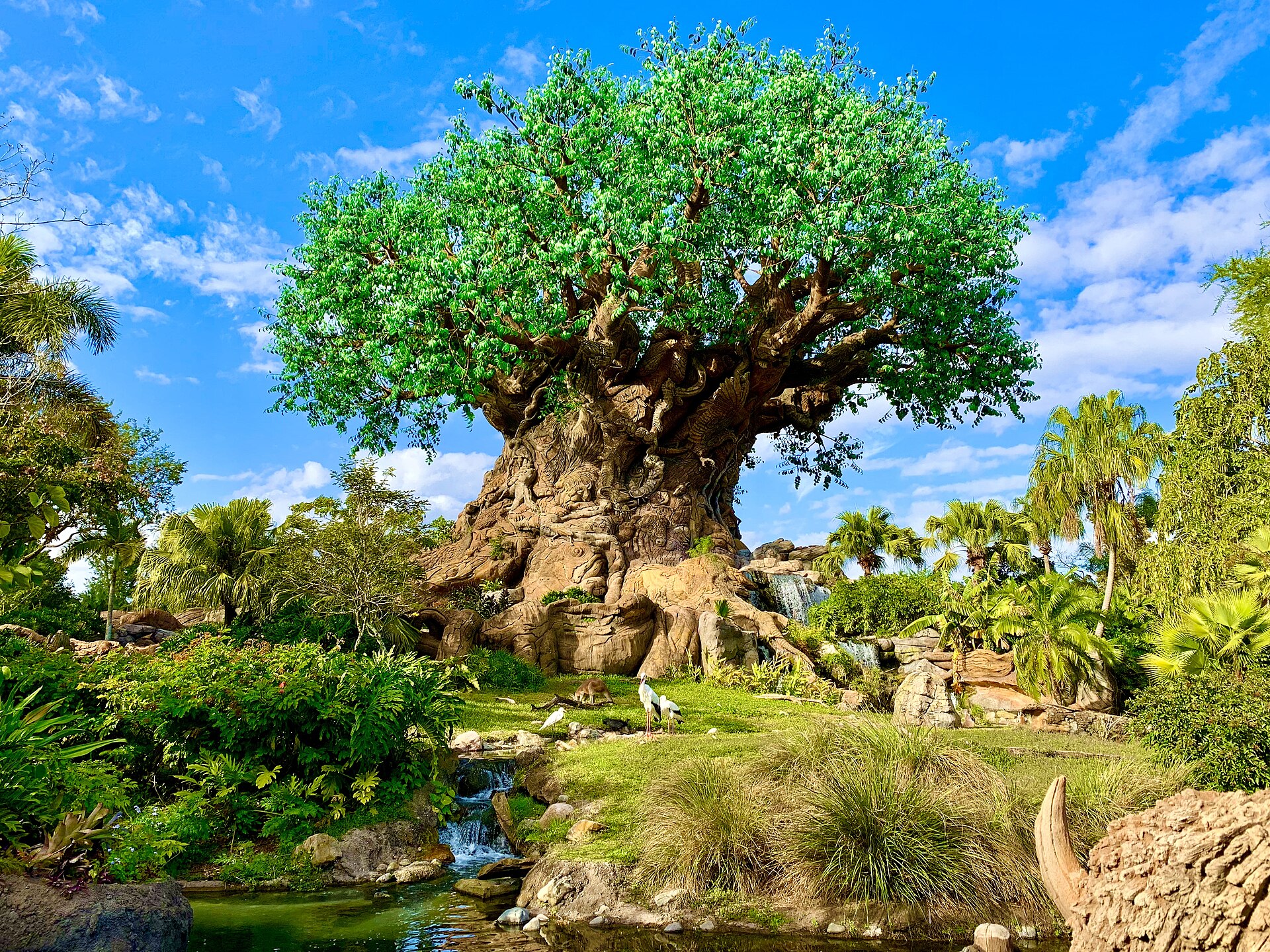 Animal Kingdom: el Tree of Life, un árbol enorme de copa verde, junto a un arroyo, rocas y palmeras, bajo un cielo azul con nubes